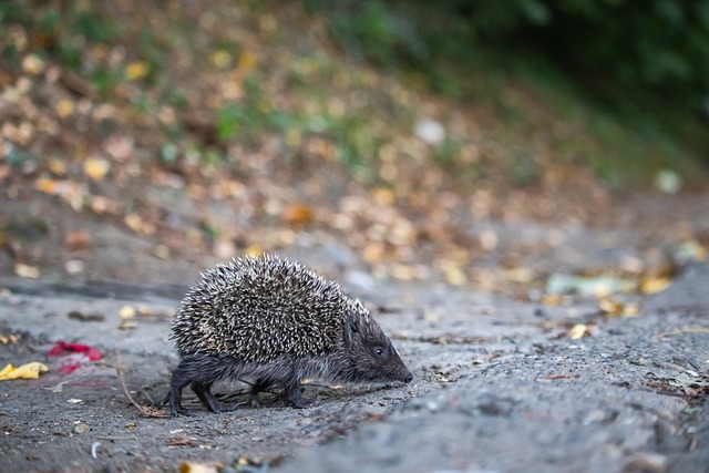 联赛中获益 联赛中获益