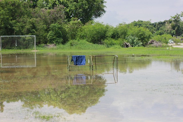 着无数年轻 着无数年轻