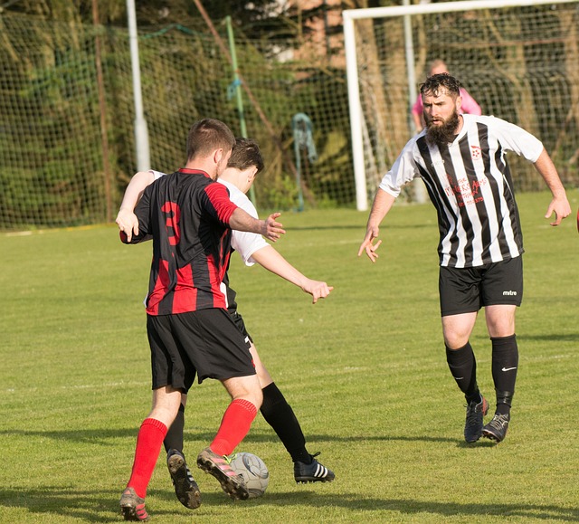 并抓住核心 并抓住核心